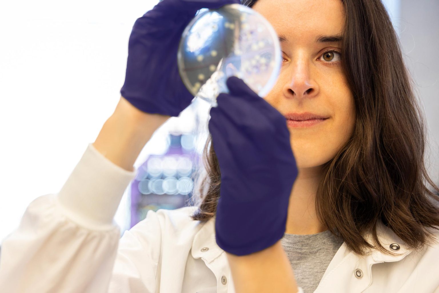 Lab Ppl From Lab to Lifesaving Therapies: How UW’s IPD Is Reimagining Global ...